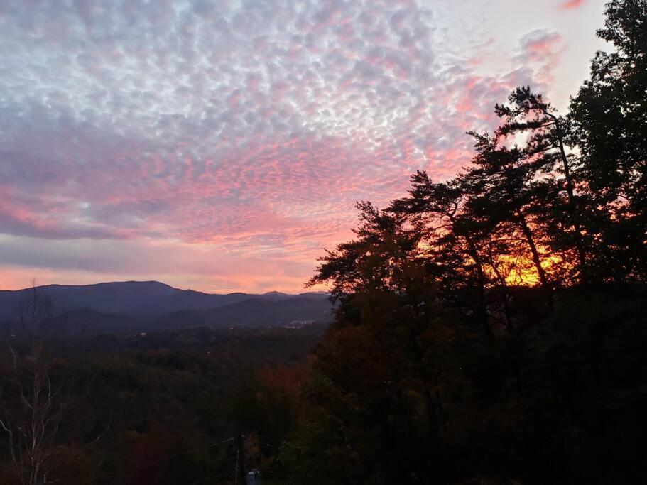 塞维尔维尔Yogi'S Den: Breathtaking Views! 3 Min To Dollywood, On 1 Acre!别墅 外观 照片