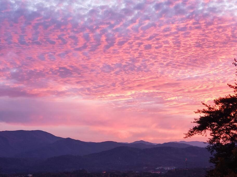 塞维尔维尔Yogi'S Den: Breathtaking Views! 3 Min To Dollywood, On 1 Acre!别墅 外观 照片
